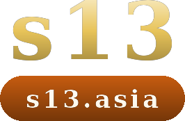 s13 logo